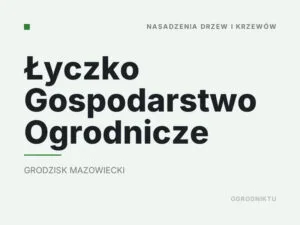 Łyczko Gospodarstwo Ogrodnicze