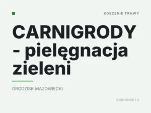 CARNIGRODY – pielęgnacja zieleni