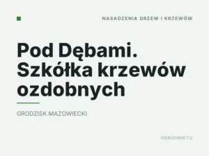 Pod Dębami. Szkółka krzewów ozdobnych