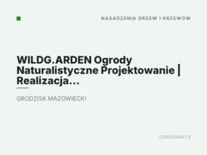 WILDG.ARDEN Ogrody Naturalistyczne Projektowanie | Realizacja | Pielęgnacja