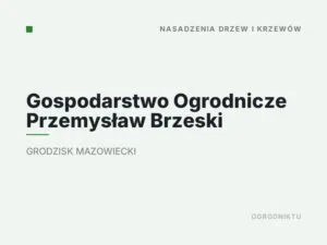 Gospodarstwo Ogrodnicze Przemysław Brzeski