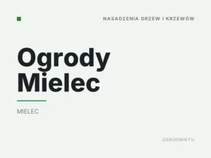 Ogrody Mielec