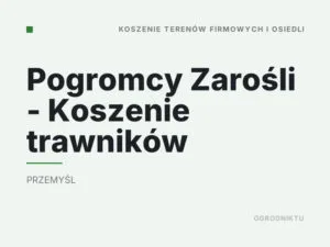Pogromcy Zarośli – Koszenie trawników