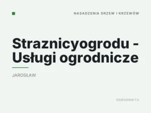 Straznicyogrodu – Usługi ogrodnicze