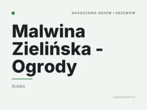 Malwina Zielińska – Ogrody