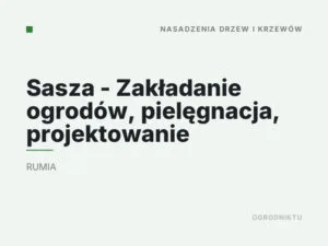 Sasza – Zakładanie ogrodów, pielęgnacja, projektowanie