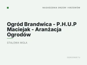 Ogród Brandwica – P.H.U.P Maciejak – Aranżacja Ogrodów