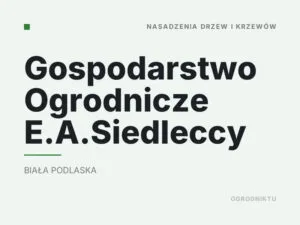 Gospodarstwo Ogrodnicze E.A.Siedleccy