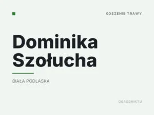 Dominika Szołucha
