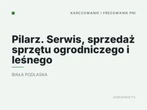Pilarz. Serwis, sprzedaż sprzętu ogrodniczego i leśnego