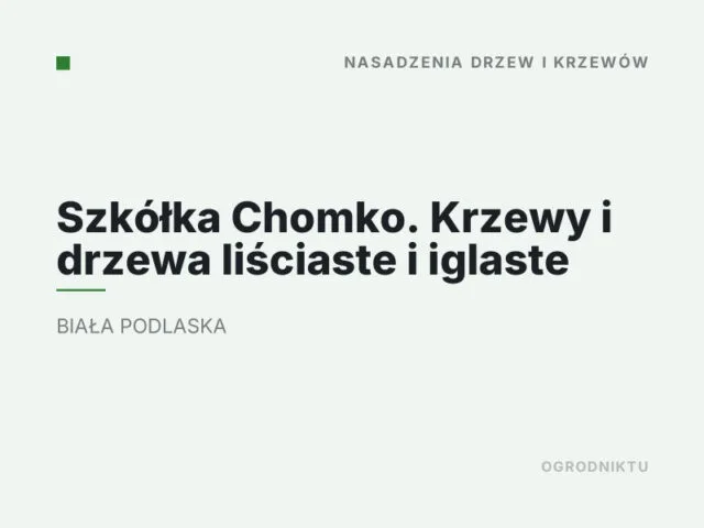 Szkółka Chomko. Krzewy i drzewa liściaste i iglaste