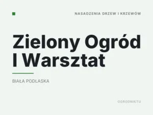 Zielony Ogród I Warsztat