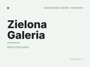 Zielona Galeria