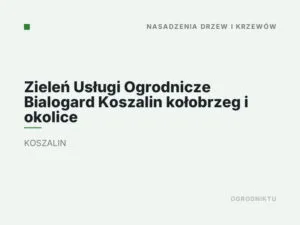 Zieleń Usługi Ogrodnicze Bialogard Koszalin kołobrzeg i okolice