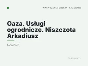 Oaza. Usługi ogrodnicze. Niszczota Arkadiusz