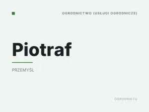 Piotraf